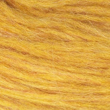 Load image into Gallery viewer, Golden Yellow Plotulopi - 1424