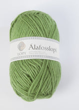 Load image into Gallery viewer, Apple Green Alafosslopi - 9983
