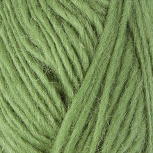 Load image into Gallery viewer, Apple Green Alafosslopi - 9983