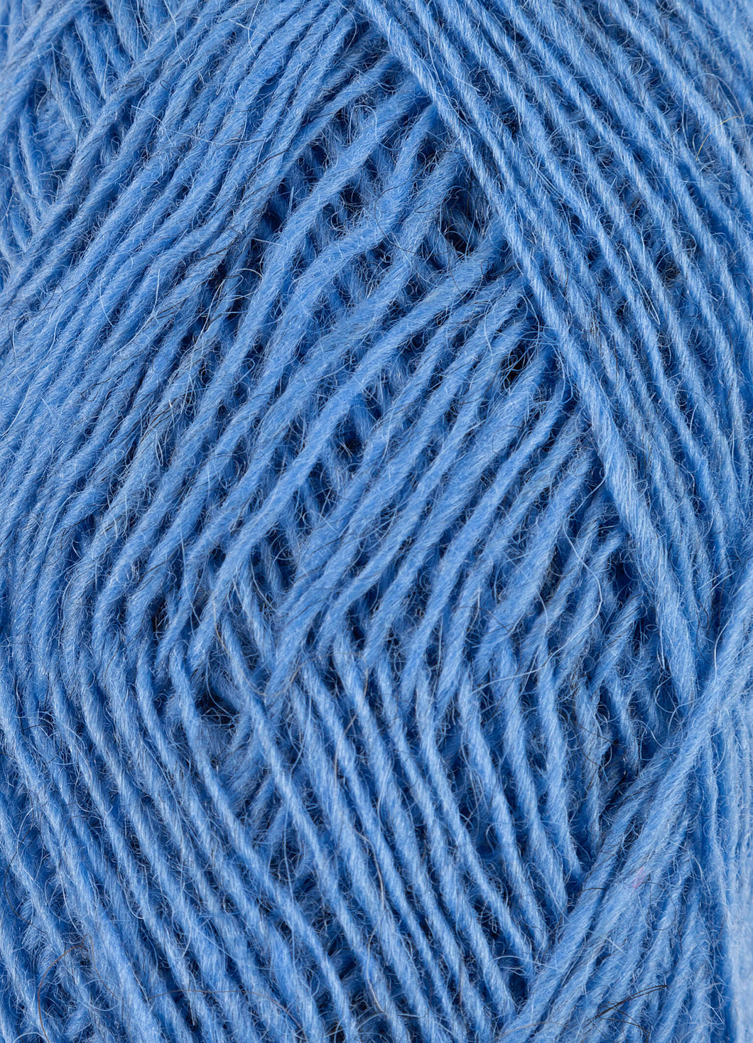 Spring Blue Fjallalopi - 3022